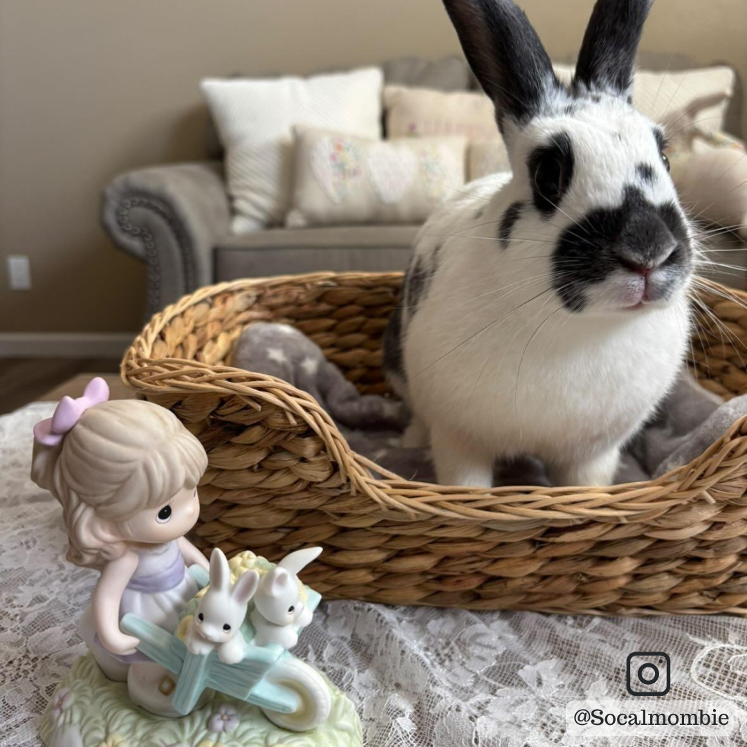 Wishing You Bunny Kisses And Springtime Wishes Figurine - Image
