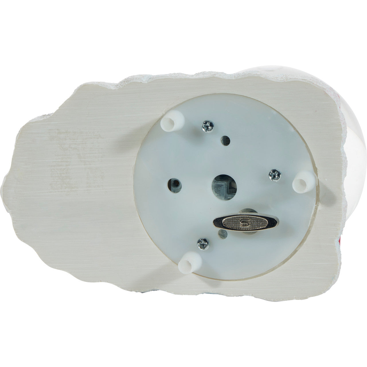 Share The Magic Of Christmas Musical Snow Globe - Image