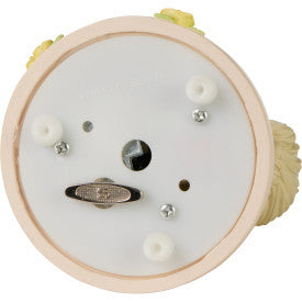 Our Love Will Bloom Forever Musical - Image