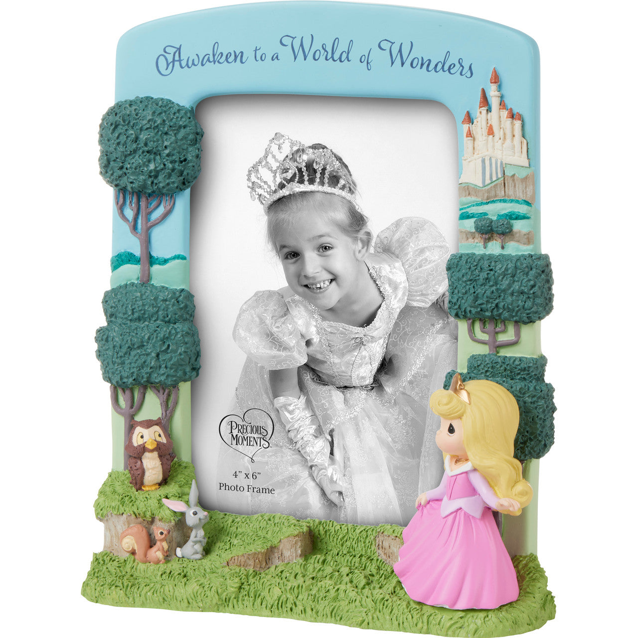 Awaken To A World Of Wonders Disney Sleeping Beauty Photo Frame - Image