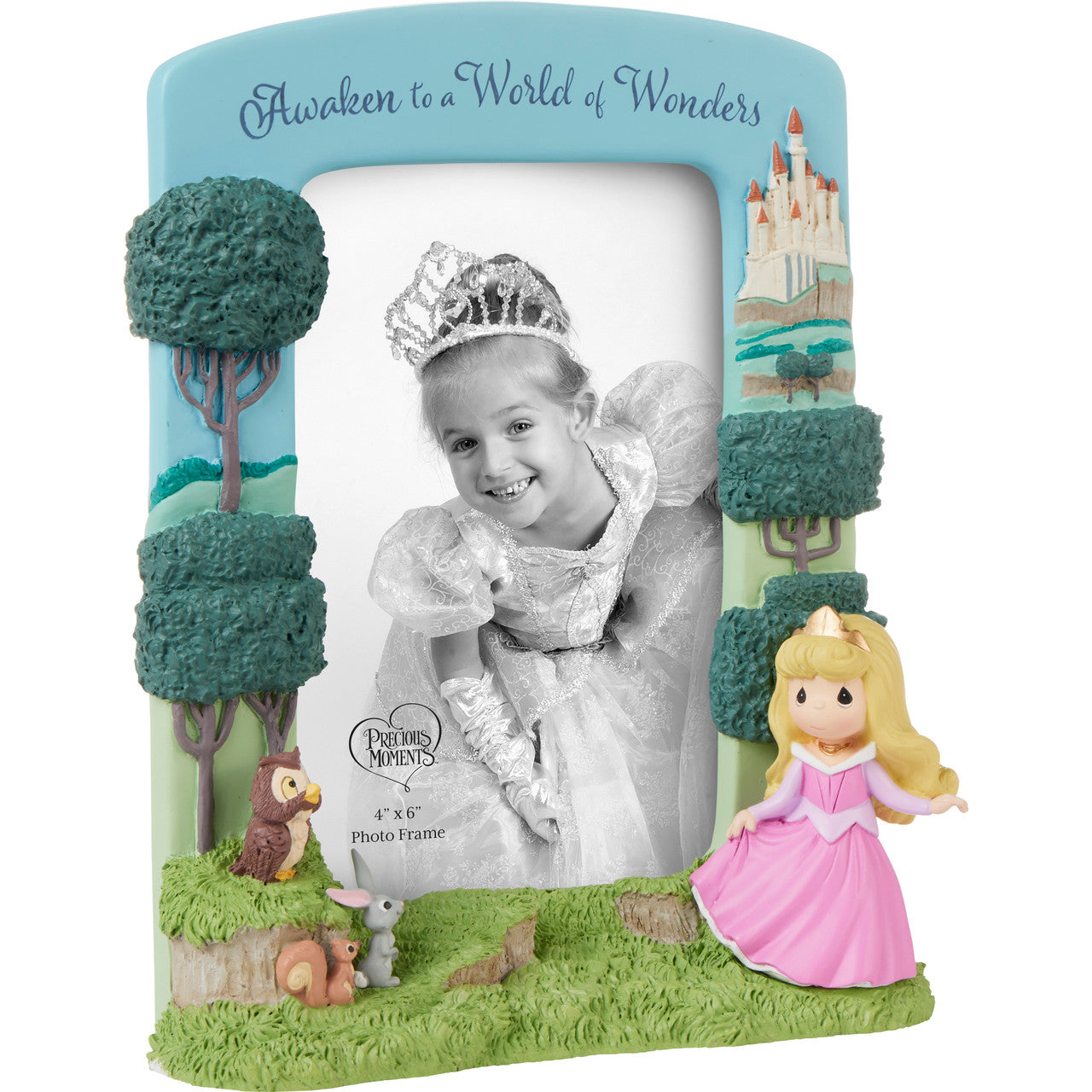 Awaken To A World Of Wonders Disney Sleeping Beauty Photo Frame - Image