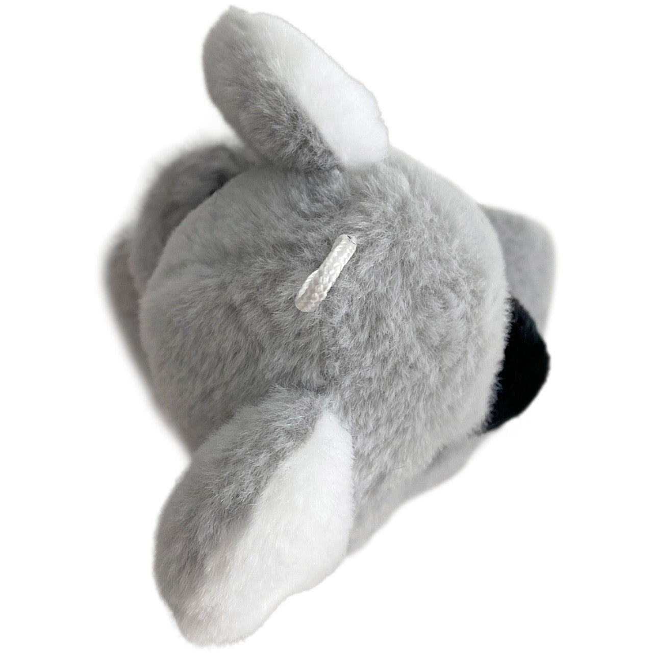 Kolla Koala Cutie Pet-tudies Wrist Cuff - Image