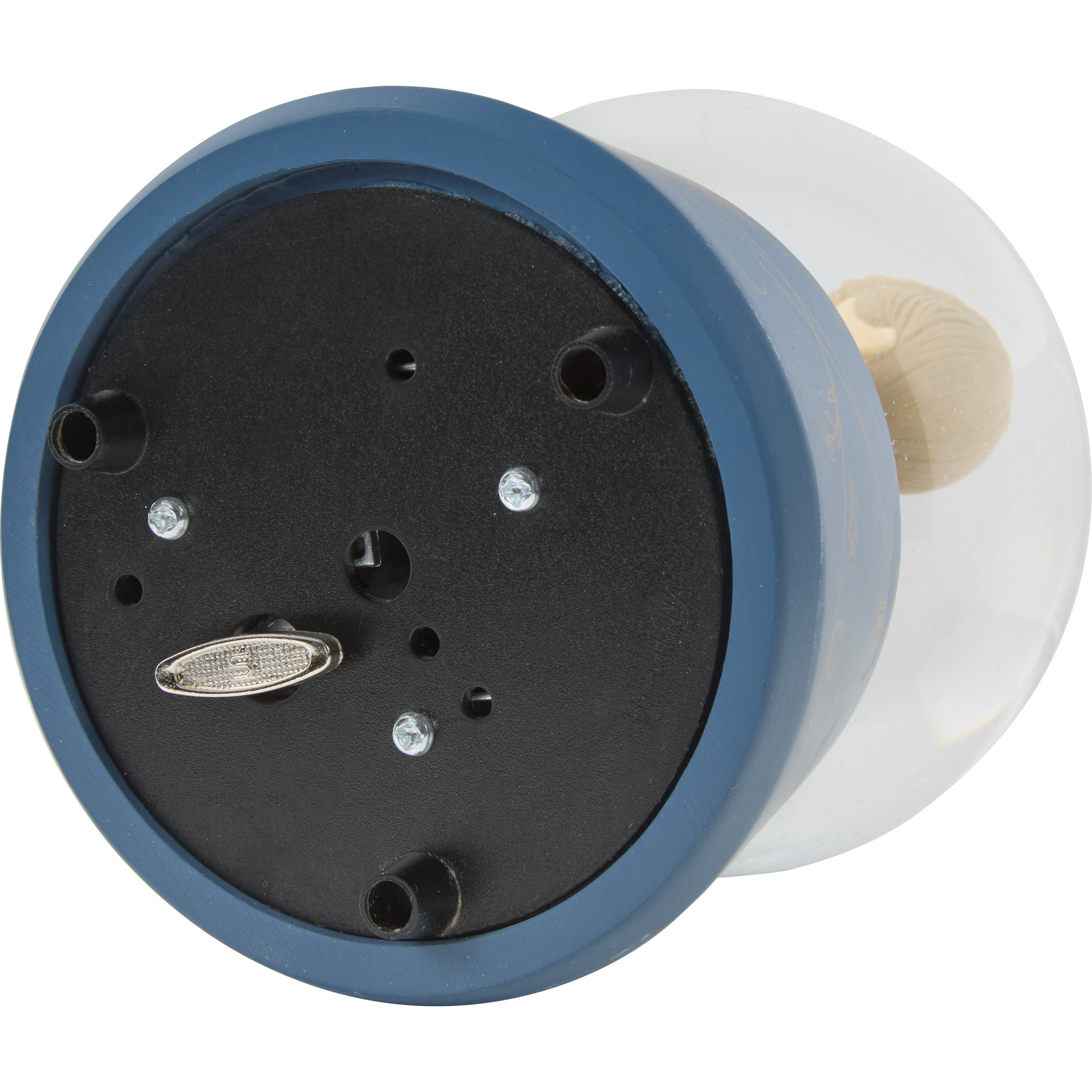 You Make Life Beautiful Anniversary Snow Globe - Alternate View 4