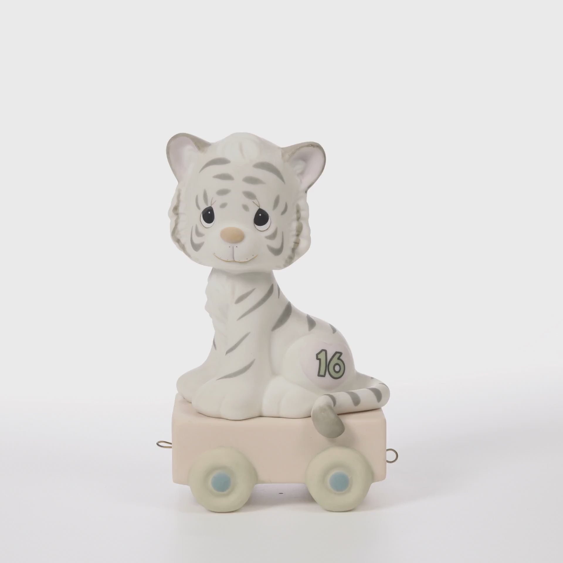 White tiger with grey stripes on platform with age 16 in heart on side - 360 video