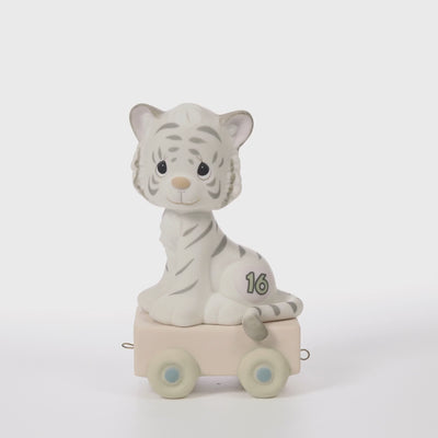 White tiger with grey stripes on platform with age 16 in heart on side - 360 video